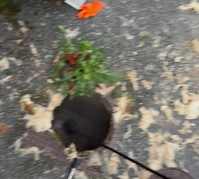 besoin d’un dégorgement de toilettes à lagny-sur-marne ? intervention rapide et efficace pour déboucher vos wc. devis gratuit et déplacement express 7j/7.