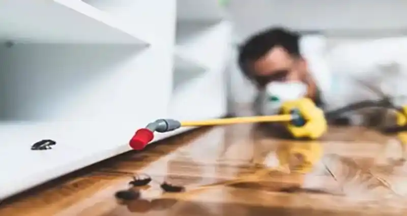 obtenez rapidement un devis personnalisé à châtillon pour vos travaux ou services. comparez les meilleures offres et choisissez le professionnel adapté à vos besoins dans la région de châtillon.