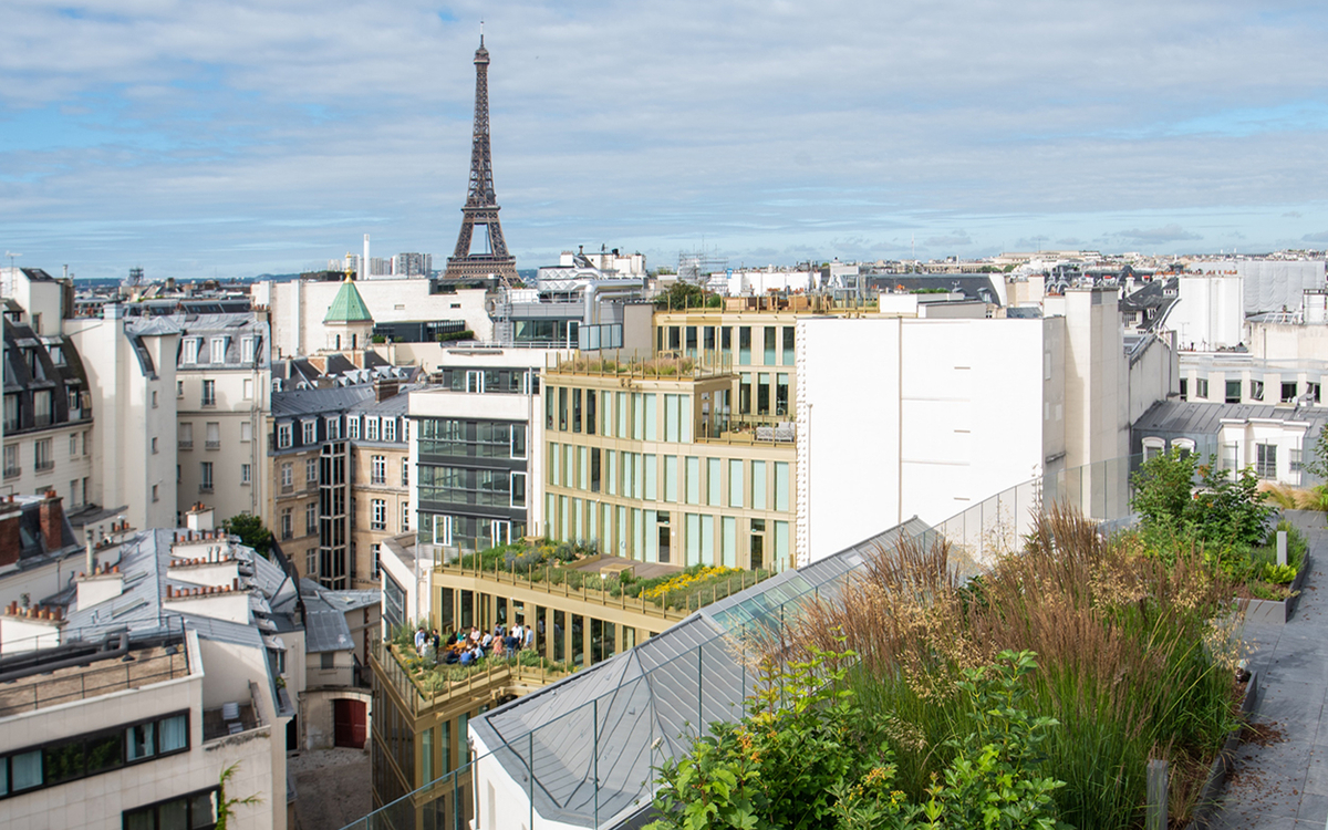découvrez notre guide complet de la rénovation à paris 75001 : conseils, astuces et adresses incontournables pour réussir tous vos travaux dans le 1er arrondissement de la capitale.