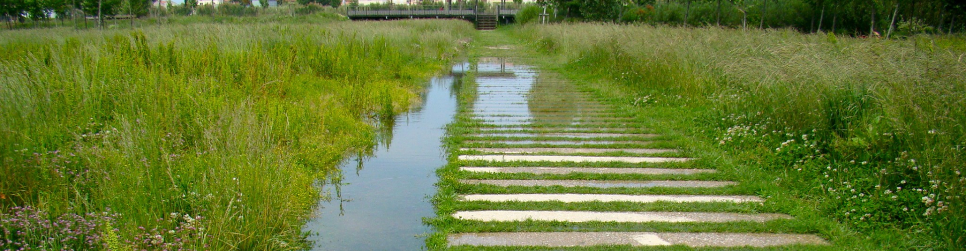 découvrez la nature en plein cœur du 75003 à paris : conseils, adresses et idées pour profiter d’espaces verts et de jardins secrets dans le marais.