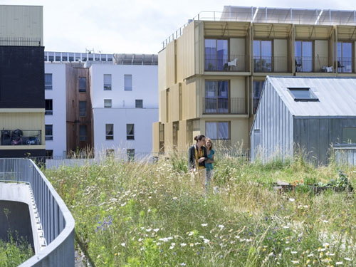 découvrez les meilleurs espaces de nature en plein cœur du 75003 à paris : parcs, jardins cachés et initiatives vertes pour profiter de la biodiversité en ville.