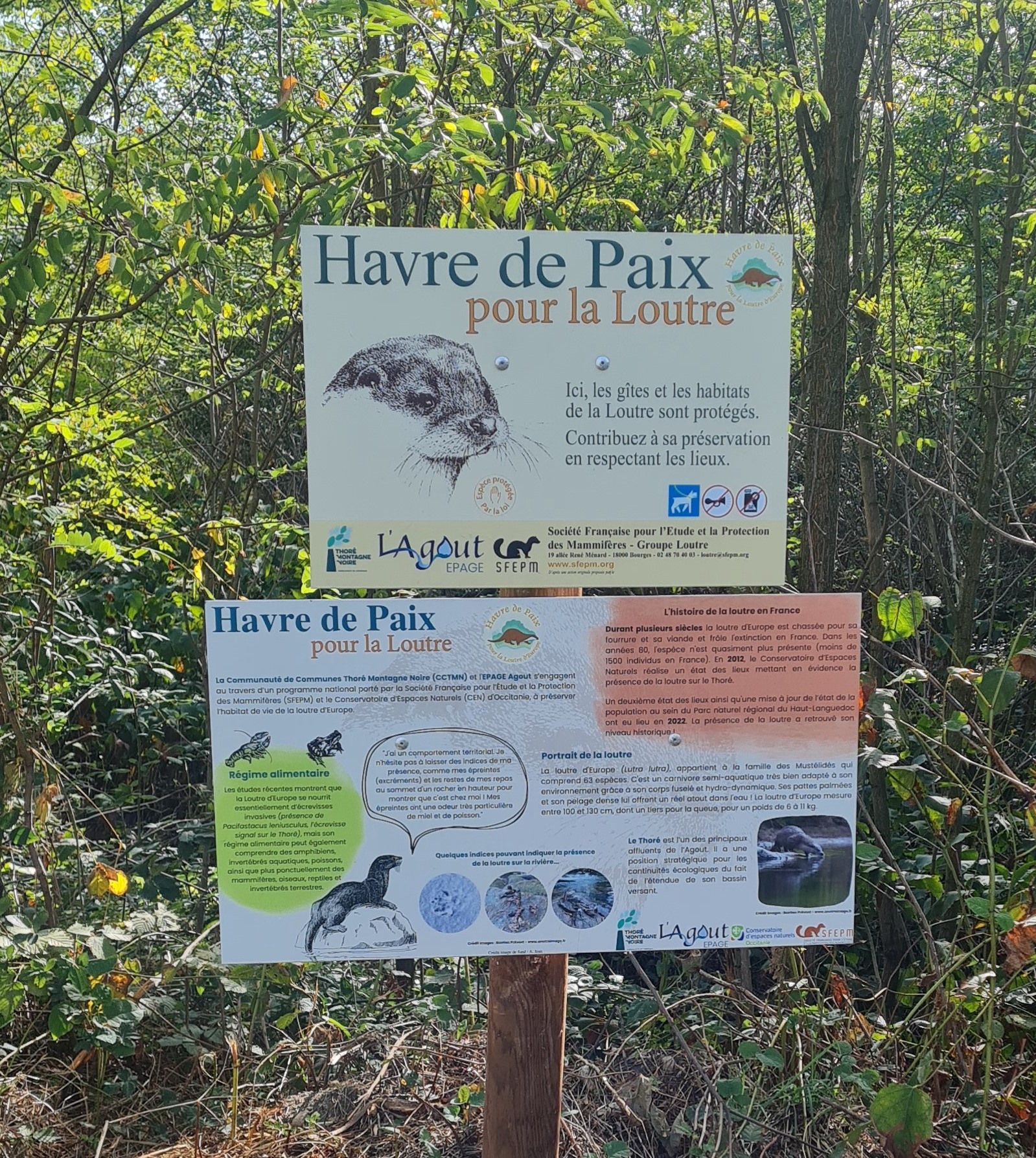 découvrez moigny-sur-école, un véritable havre de paix niché au cœur de la nature, idéal pour se ressourcer et profiter de paysages préservés en île-de-france.